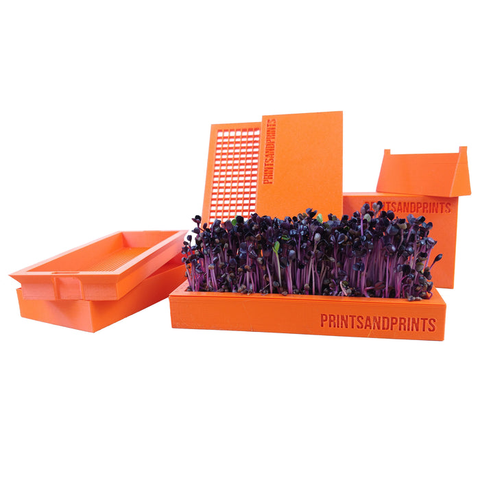 productImage-20535-microgreens-starter-kit-1.jpg